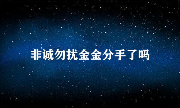 非诚勿扰金金分手了吗