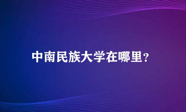 中南民族大学在哪里？