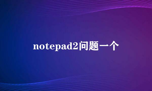 notepad2问题一个