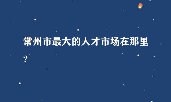 常州市最大的人才市场在那里？