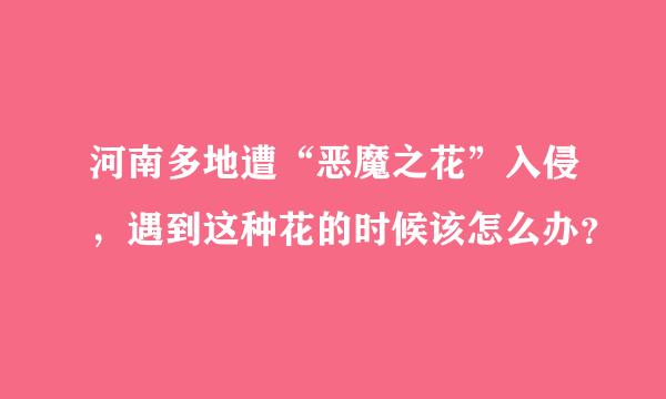 河南多地遭“恶魔之花”入侵，遇到这种花的时候该怎么办？