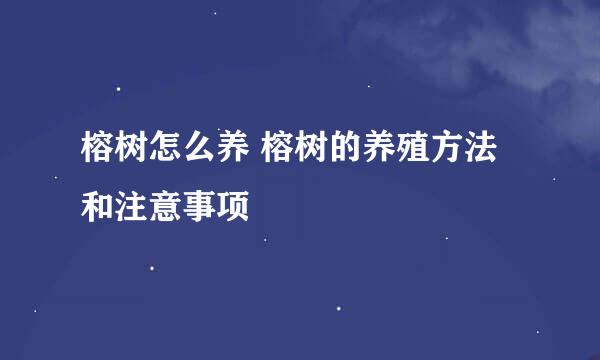 榕树怎么养 榕树的养殖方法和注意事项