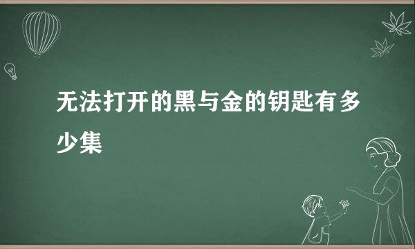 无法打开的黑与金的钥匙有多少集