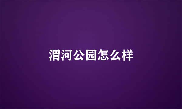 渭河公园怎么样