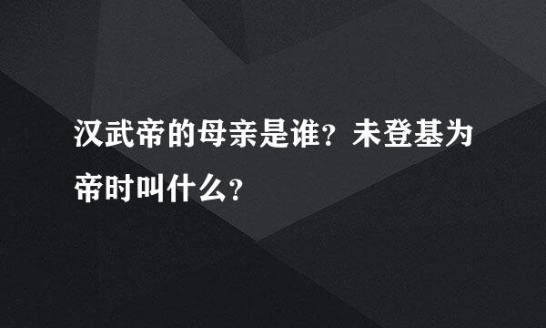 汉武帝的母亲是谁？未登基为帝时叫什么？