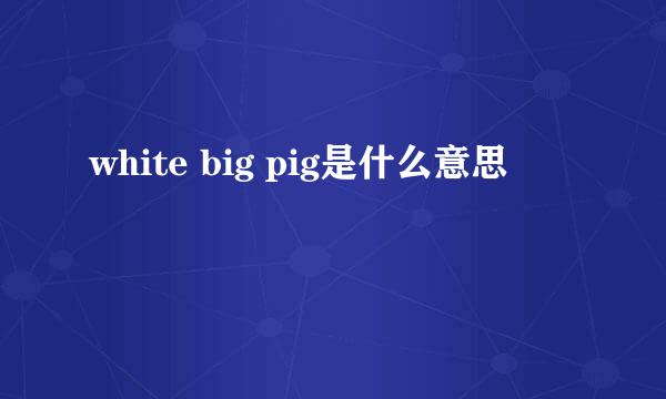 white big pig是什么意思