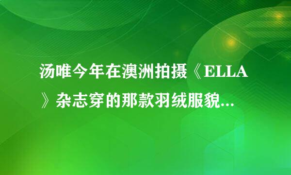 汤唯今年在澳洲拍摄《ELLA》杂志穿的那款羽绒服貌似是韩国的，男女款羽绒服大概在什么价位？性价比高么？