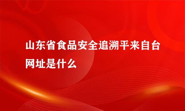 山东省食品安全追溯平来自台网址是什么