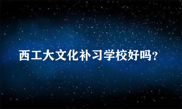 西工大文化补习学校好吗？