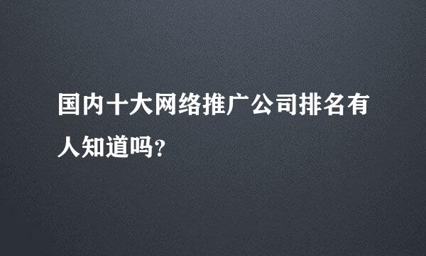 国内十大网络推广公司排名有人知道吗？