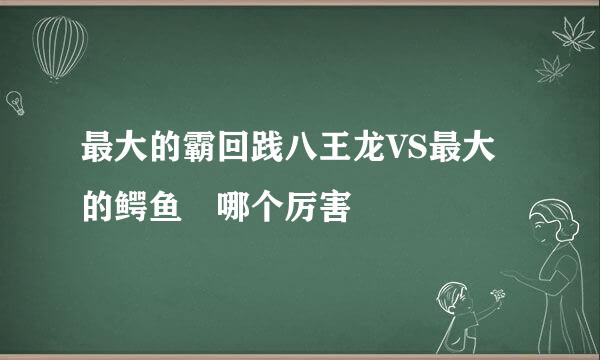 最大的霸回践八王龙VS最大的鳄鱼 哪个厉害