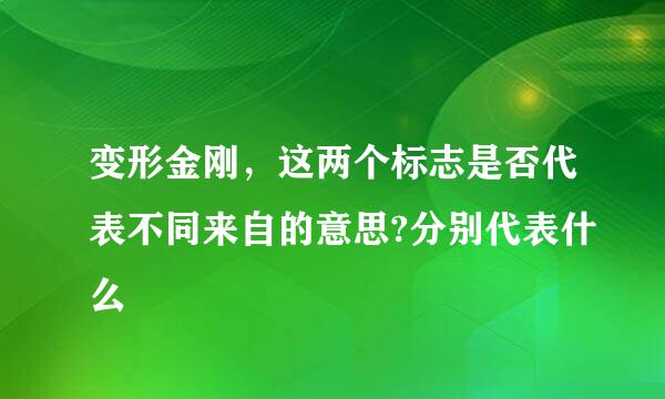 变形金刚，这两个标志是否代表不同来自的意思?分别代表什么