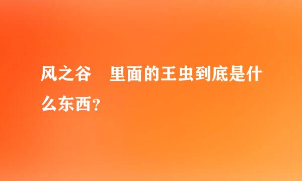 风之谷 里面的王虫到底是什么东西？