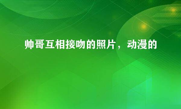 帅哥互相接吻的照片，动漫的