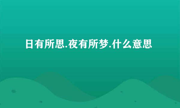 日有所思.夜有所梦.什么意思