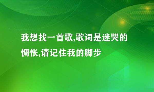 我想找一首歌,歌词是迷哭的惆怅,请记住我的脚步