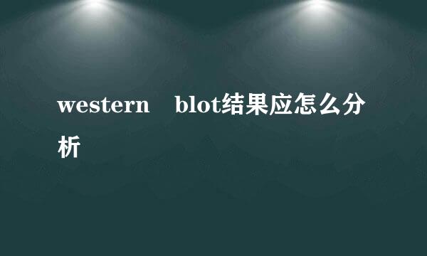 western blot结果应怎么分析