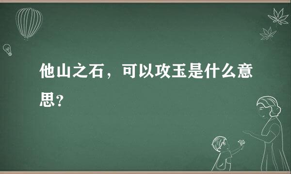 他山之石，可以攻玉是什么意思？