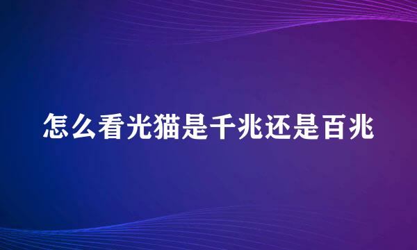 怎么看光猫是千兆还是百兆