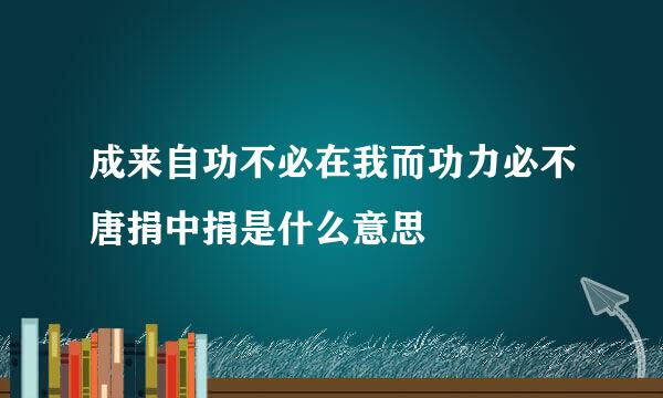 成来自功不必在我而功力必不唐捐中捐是什么意思