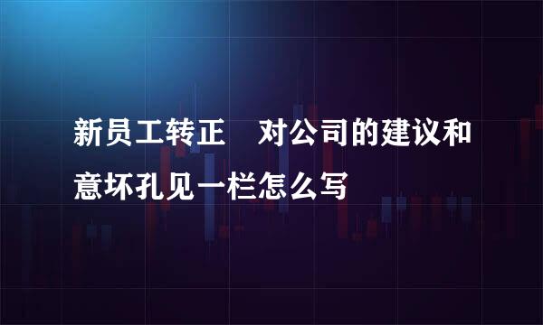 新员工转正 对公司的建议和意坏孔见一栏怎么写