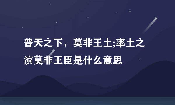 普天之下，莫非王土;率土之滨莫非王臣是什么意思