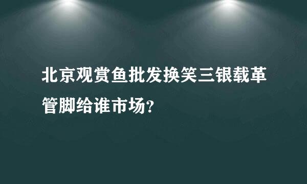 北京观赏鱼批发换笑三银载革管脚给谁市场？