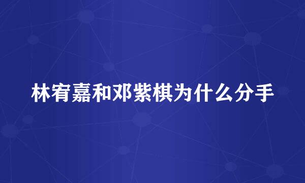 林宥嘉和邓紫棋为什么分手