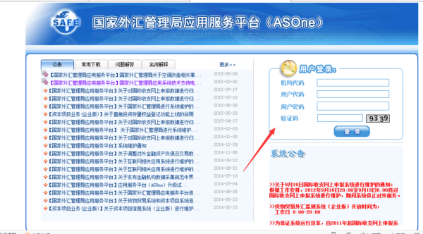 如何登陆 国家外汇管理局网上服务平台?