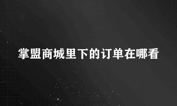 掌盟商城里下的订单在哪看