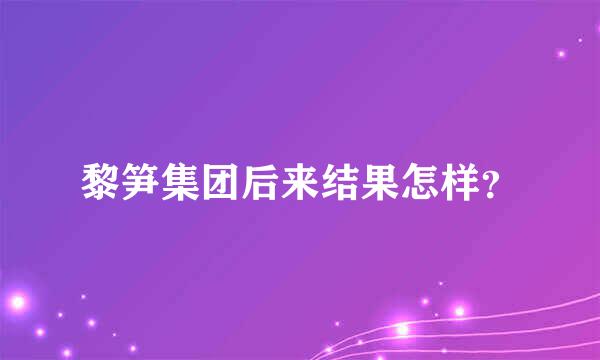 黎笋集团后来结果怎样？