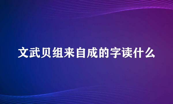 文武贝组来自成的字读什么