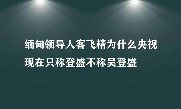 缅甸领导人客飞精为什么央视现在只称登盛不称吴登盛