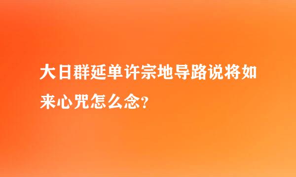 大日群延单许宗地导路说将如来心咒怎么念？