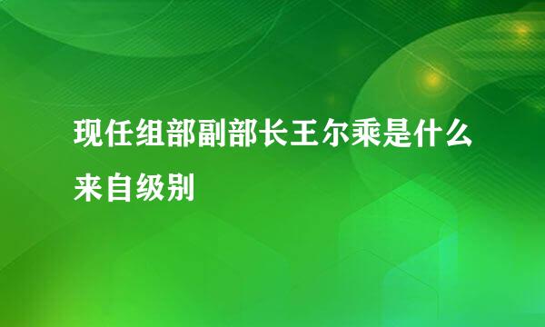 现任组部副部长王尔乘是什么来自级别