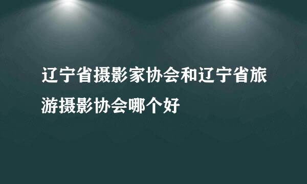 辽宁省摄影家协会和辽宁省旅游摄影协会哪个好