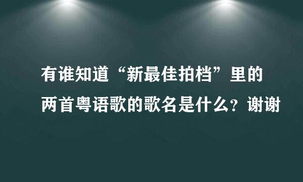 有谁知道“新最佳拍档”里的两首粤语歌的歌名是什么？谢谢