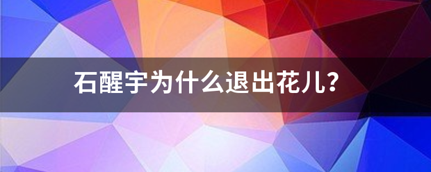 石醒宇为什么退出花儿？