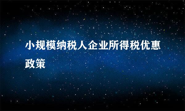 小规模纳税人企业所得税优惠政策