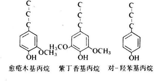 什么是木质素？