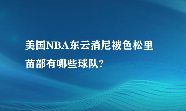 美国NBA东云消尼被色松里苗部有哪些球队?