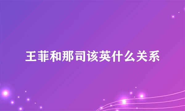 王菲和那司该英什么关系