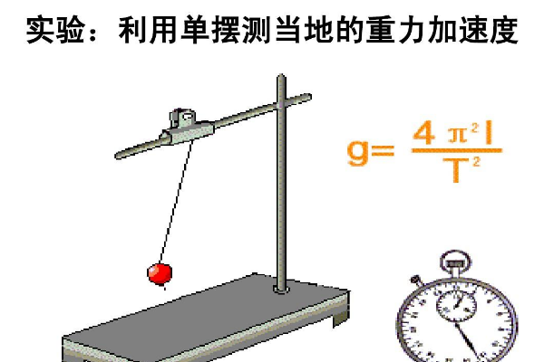 重力加速度g的单位是什么？