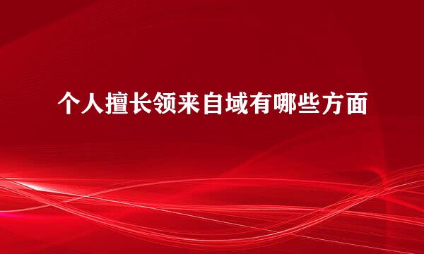 个人擅长领来自域有哪些方面