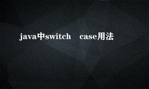 java中switch case用法