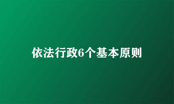 依法行政6个基本原则