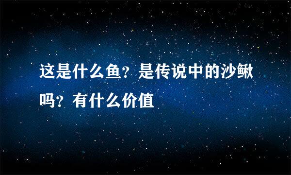 这是什么鱼？是传说中的沙鳅吗？有什么价值