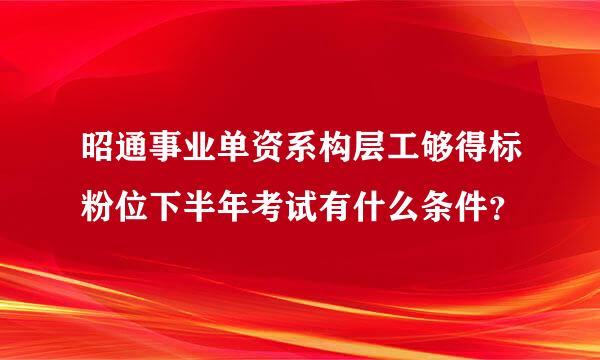 昭通事业单资系构层工够得标粉位下半年考试有什么条件？