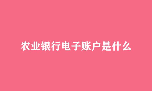 农业银行电子账户是什么