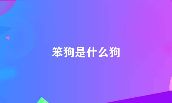 笨狗是什么狗